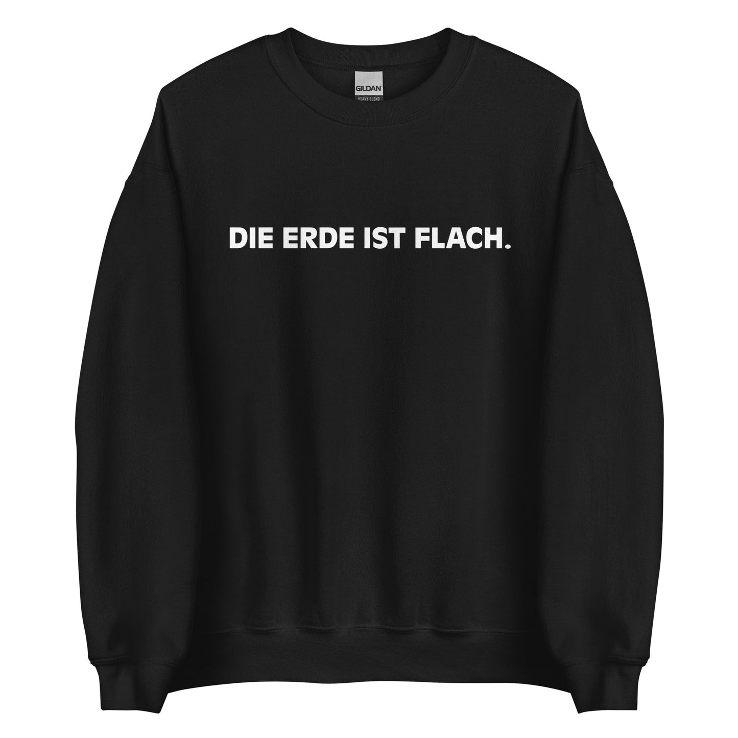 DIE ERDE IST FLACH. Pullover - finestshirts.de