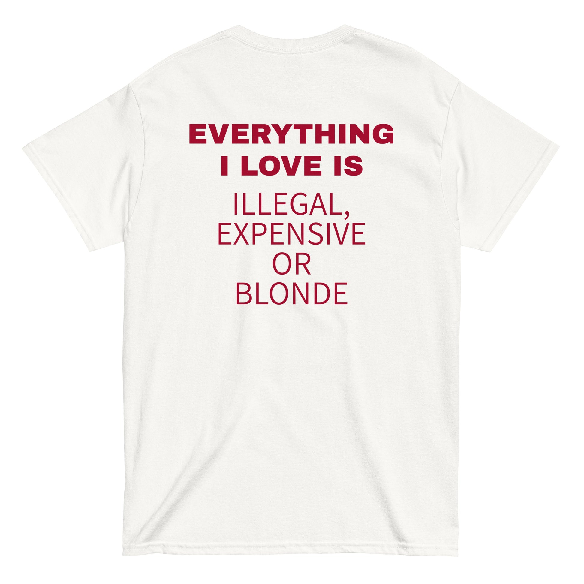 EVERYTHING I LOVE IS ILLEGAL, EXPENSIVE OR BLONDE T-Shirt [BACKPRINT] - finestshirts.de