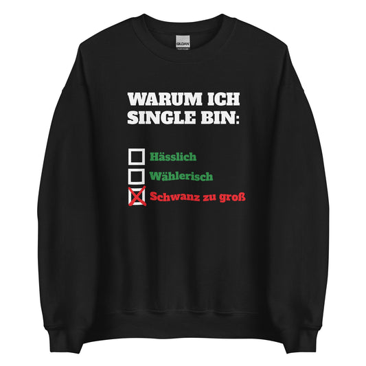WARUM ICH SINGLE BIN: Pullover - finestshirts.de