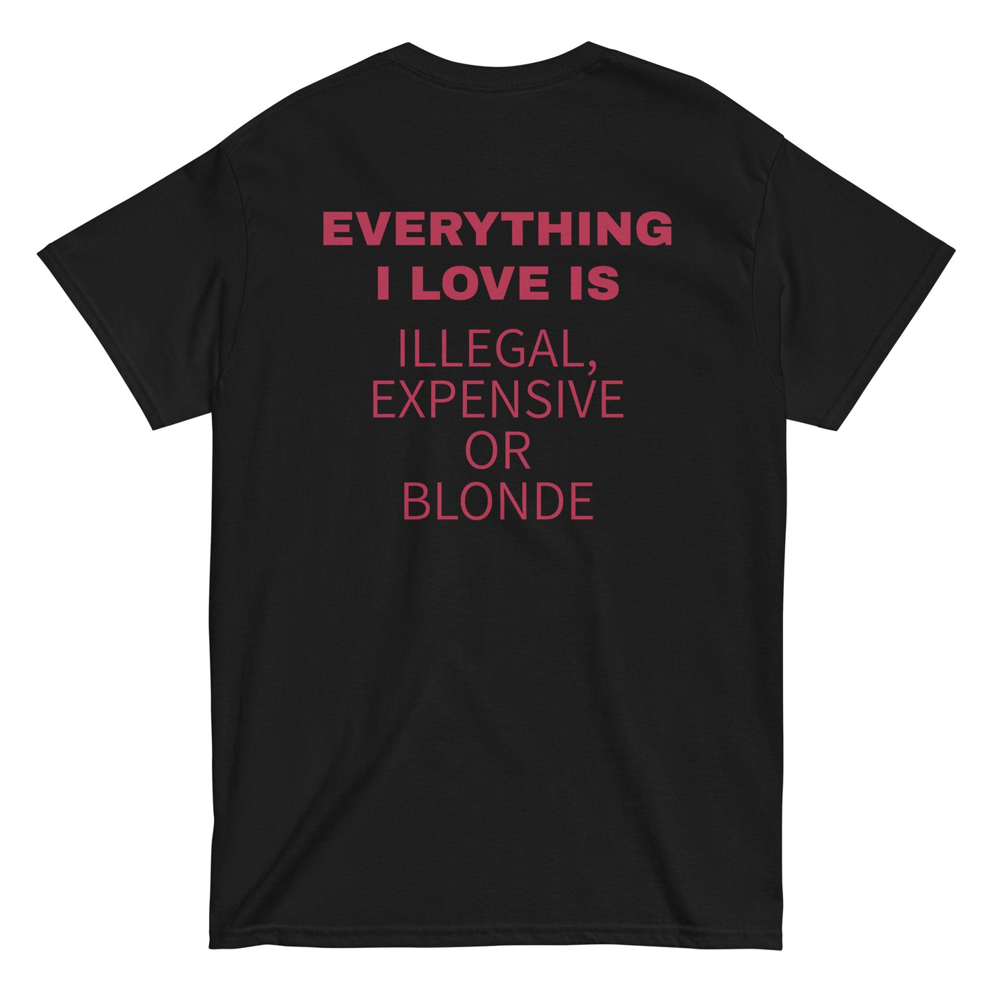EVERYTHING I LOVE IS ILLEGAL, EXPENSIVE OR BLONDE T-Shirt [BACKPRINT]