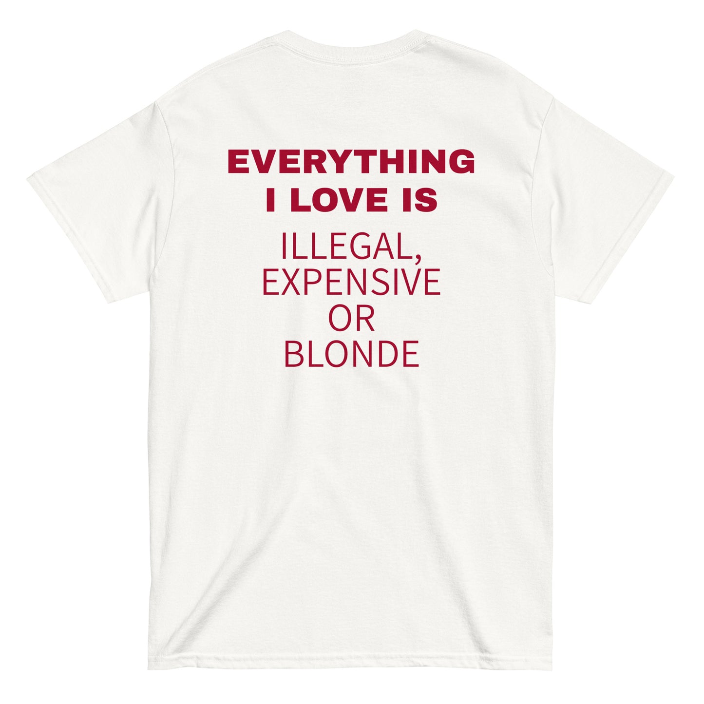 EVERYTHING I LOVE IS ILLEGAL, EXPENSIVE OR BLONDE T-Shirt [BACKPRINT]