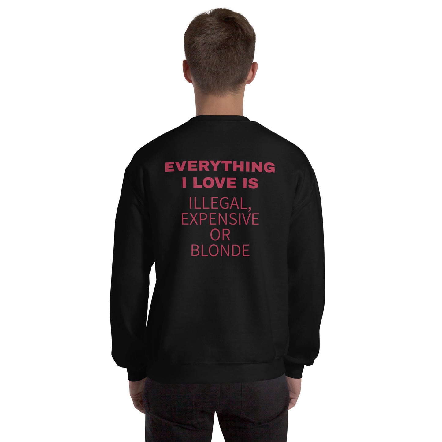 EVERYTHING I LOVE IS ILLEGAL, EXPENSIVE OR BLONDE Pullover [BACKPRINT]