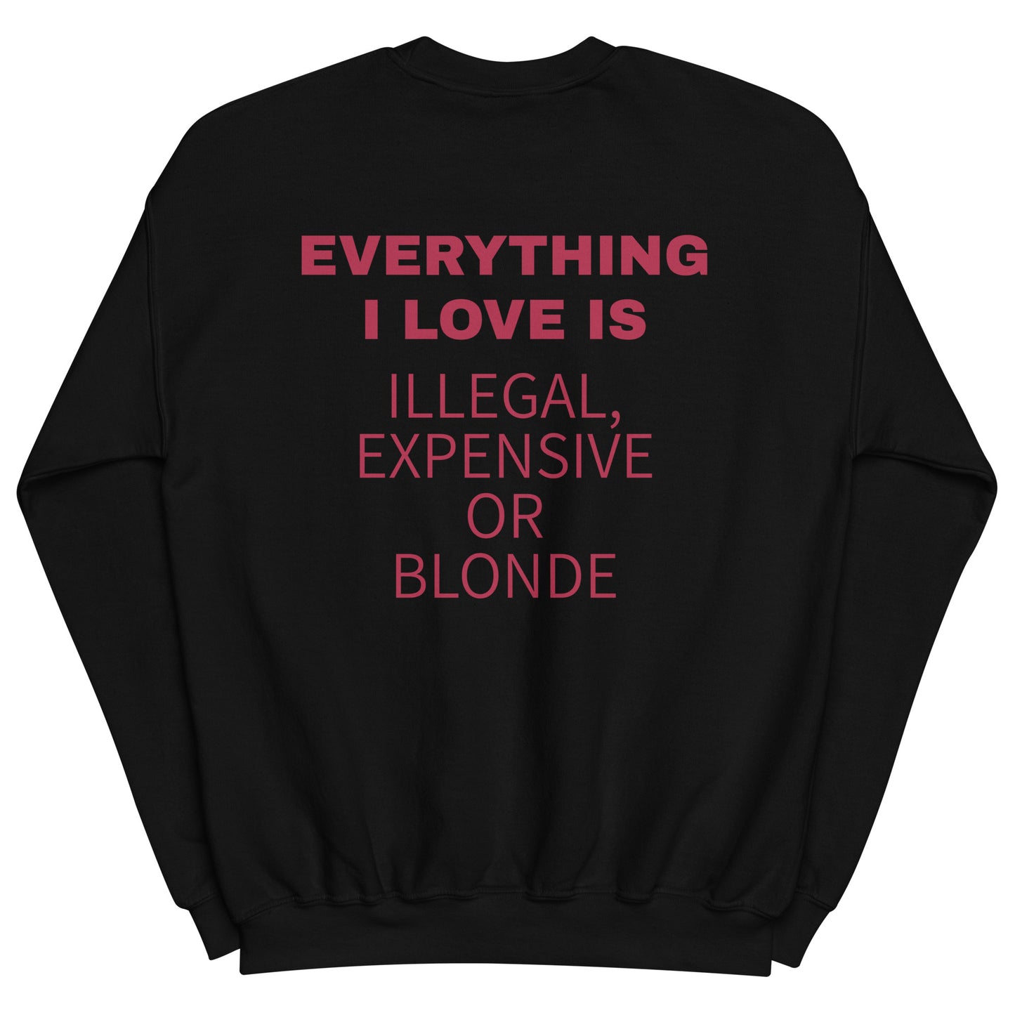 EVERYTHING I LOVE IS ILLEGAL, EXPENSIVE OR BLONDE Pullover [BACKPRINT]