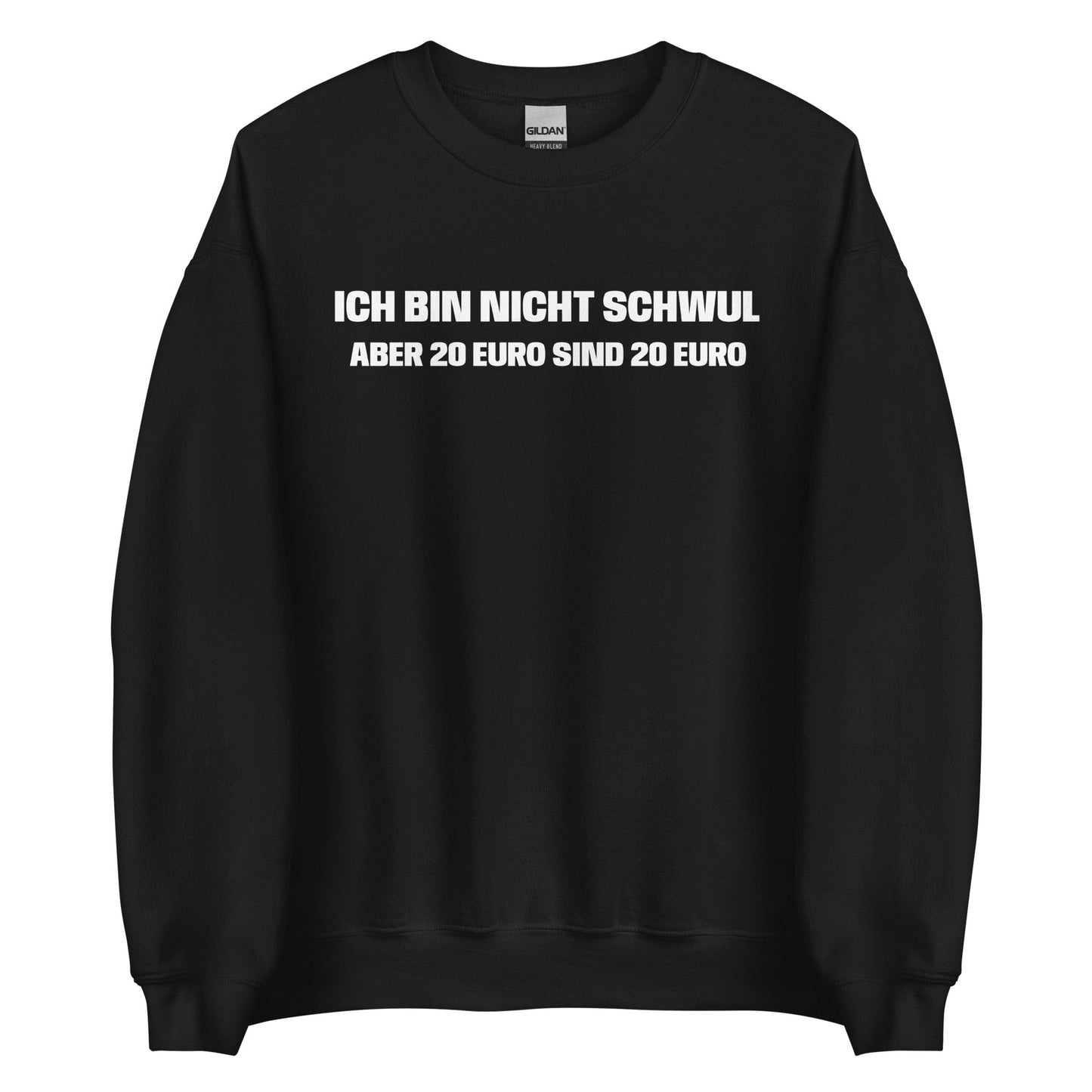 ICH BIN NICHT SCHWUL ABER 20 EURO SIND 20 EURO Pullover