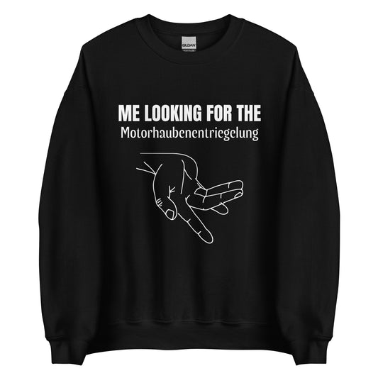 ME LOOKING FOR THE Motorhaubenentriegelung Pullover