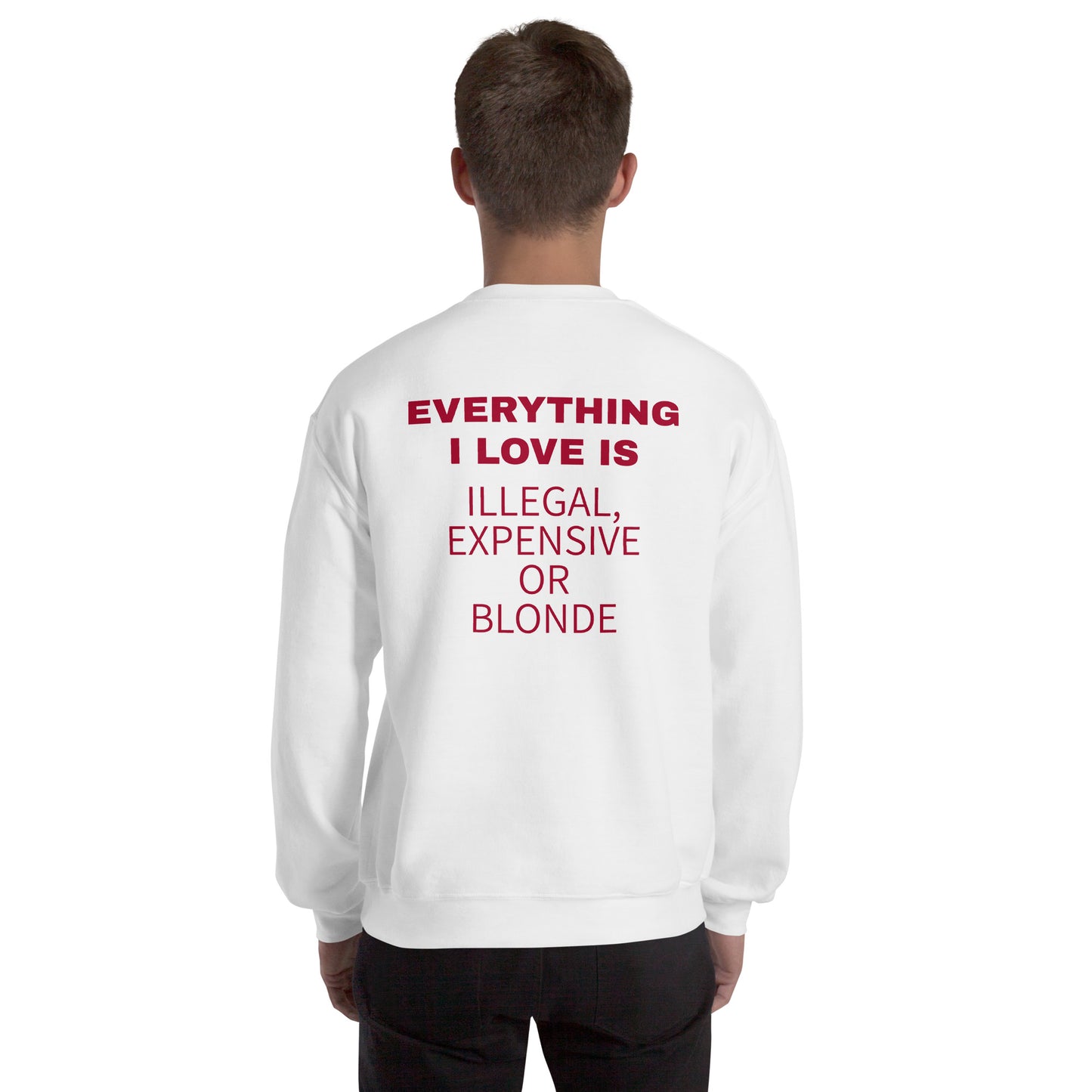 EVERYTHING I LOVE IS ILLEGAL, EXPENSIVE OR BLONDE Pullover [BACKPRINT]