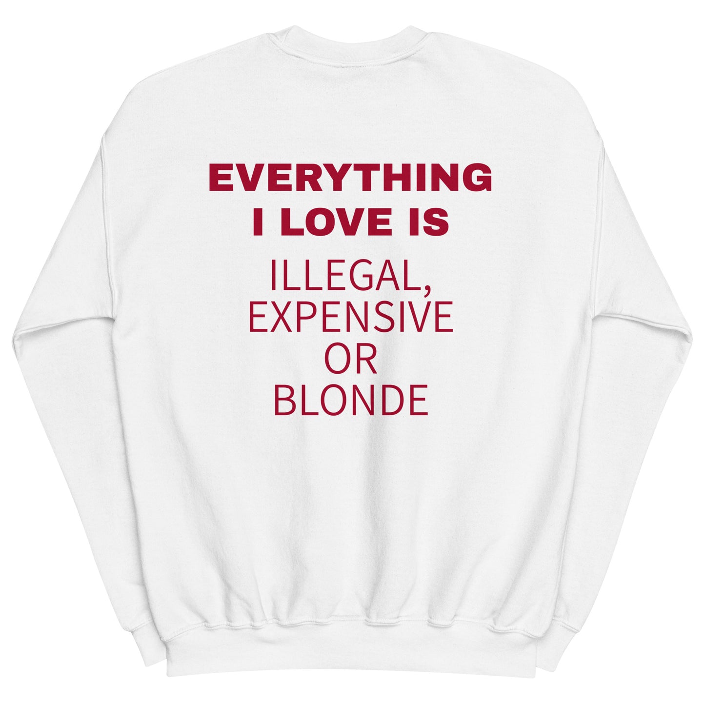 EVERYTHING I LOVE IS ILLEGAL, EXPENSIVE OR BLONDE Pullover [BACKPRINT]
