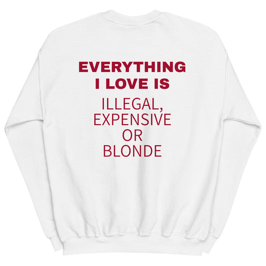 EVERYTHING I LOVE IS ILLEGAL, EXPENSIVE OR BLONDE Pullover [BACKPRINT]