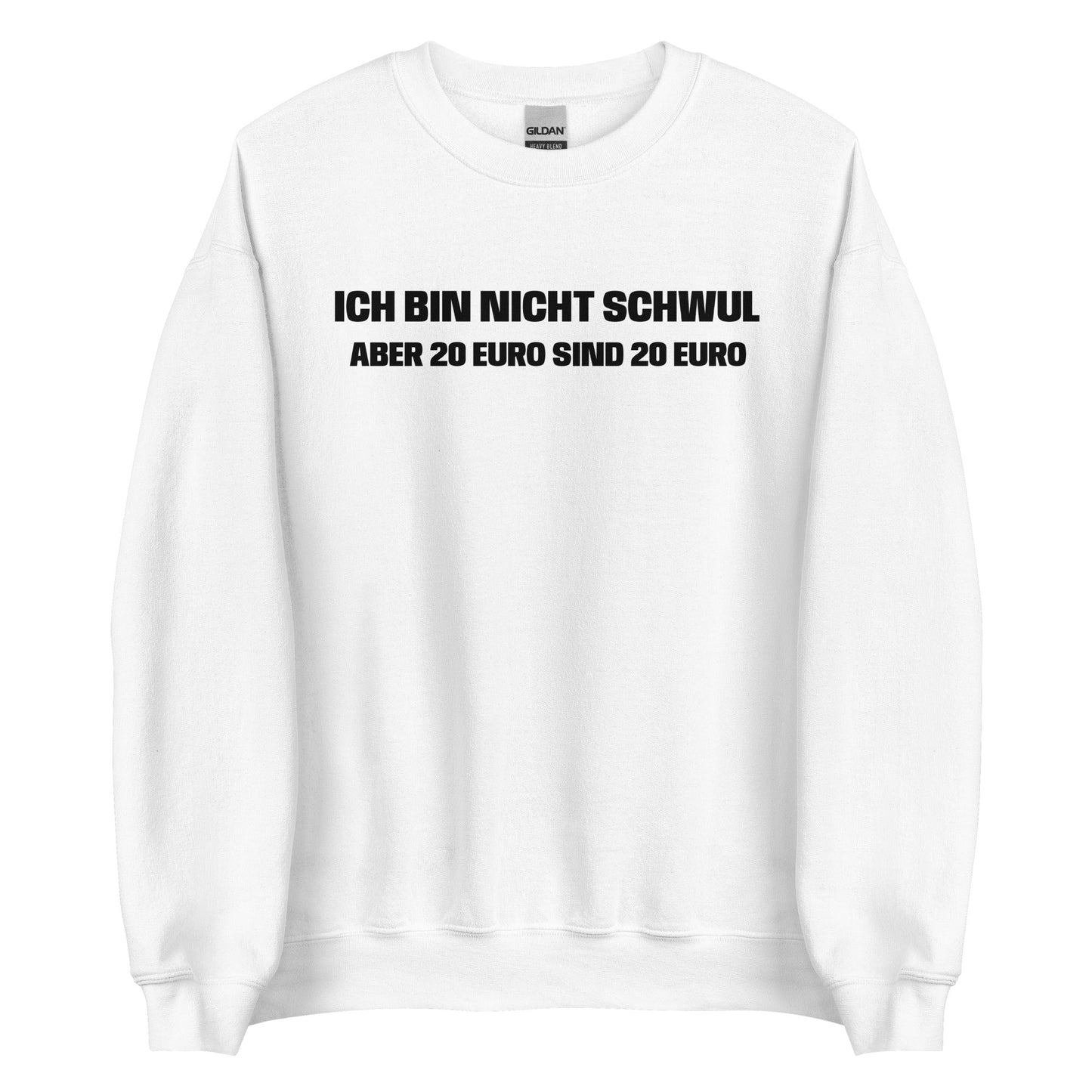 ICH BIN NICHT SCHWUL ABER 20 EURO SIND 20 EURO Pullover