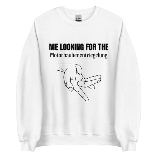 ME LOOKING FOR THE Motorhaubenentriegelung Pullover